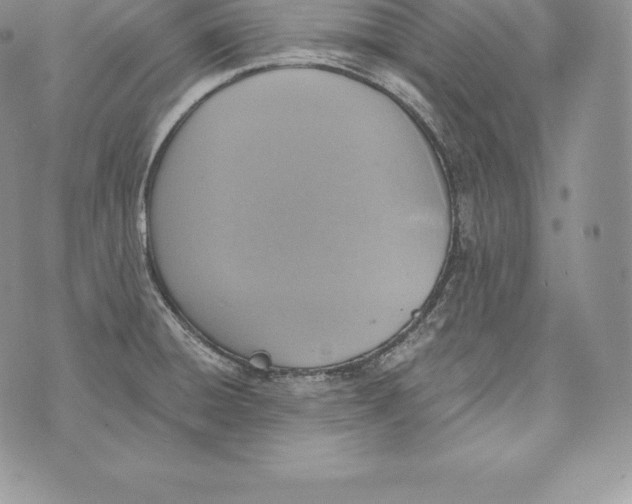 X0000072931428200608111524