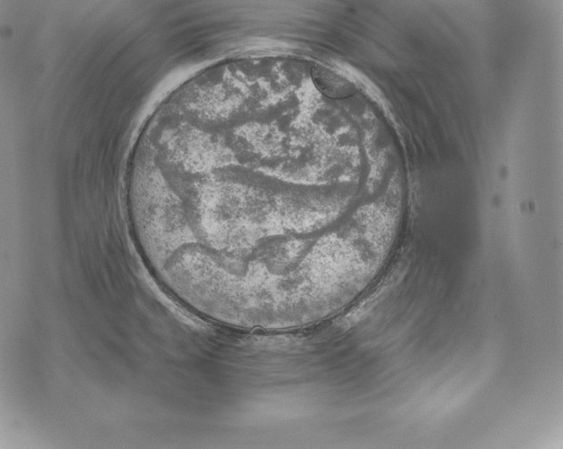 X0000072931429200608111524