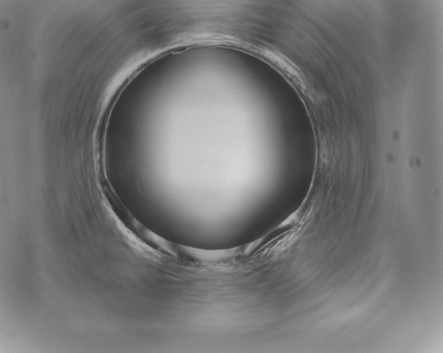 X0000072931430200608111524