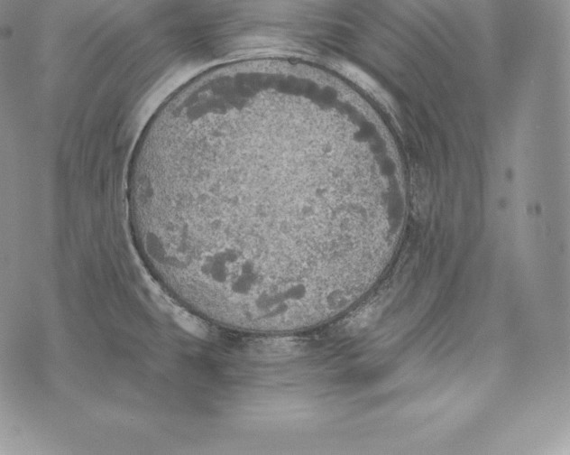 X0000072931431200608111524