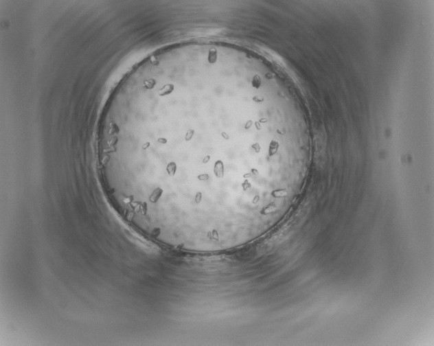 X0000072931432200608111524