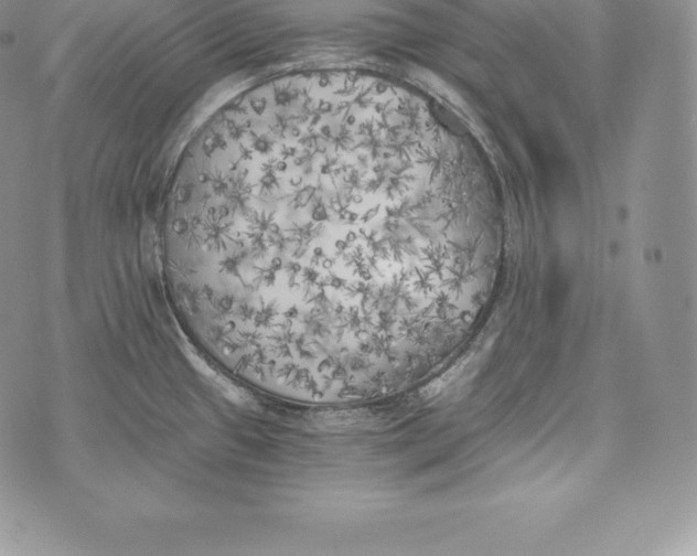 X0000072931433200608111524