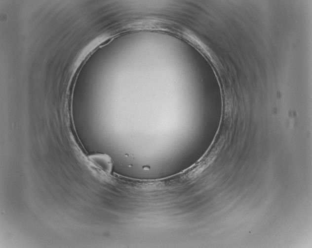 X0000072931434200608111524