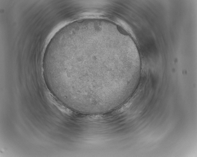 X0000072931435200608111524