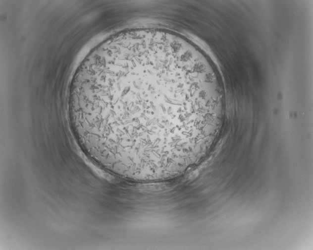 X0000072931437200608111524