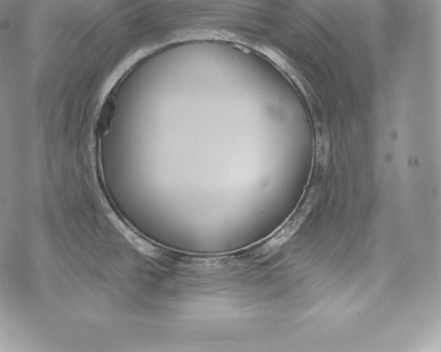 X0000072931438200608111524