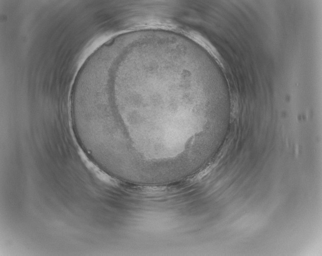 X0000072931439200608111524