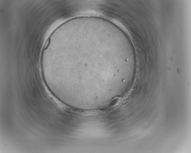 X0000072931440200608111524