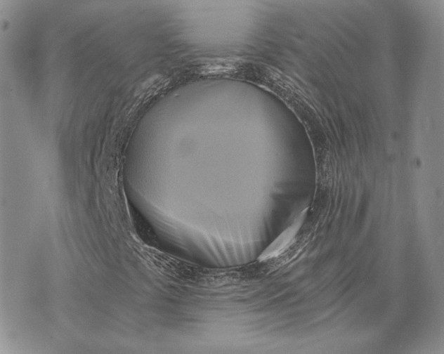 X0000072931441200608111523