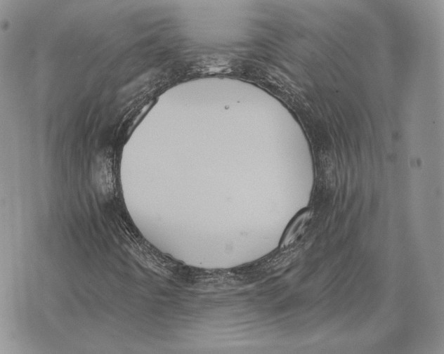 X0000072931442200608111523