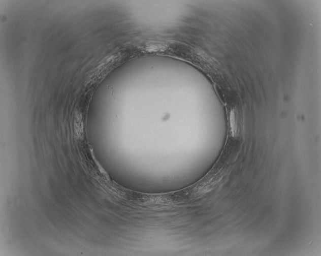 X0000072931443200608111523