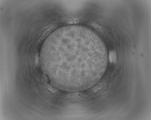 X0000072931444200608111523