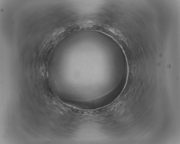 X0000072931445200608111523