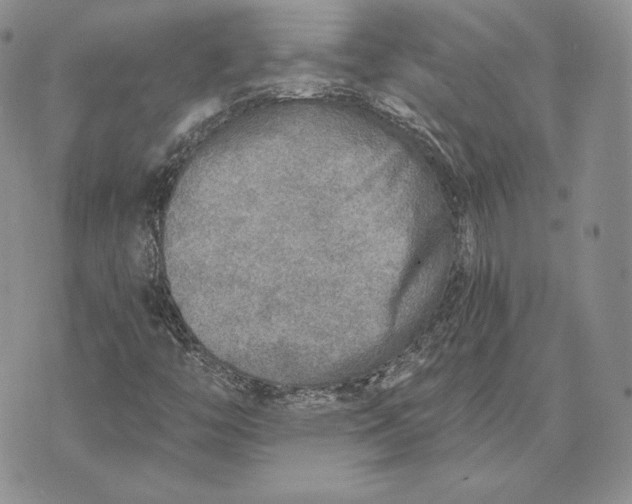 X0000072931446200608111523