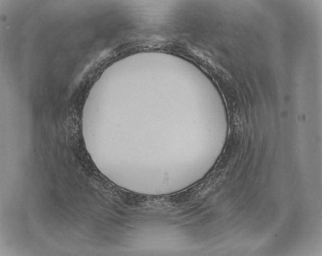 X0000072931447200608111523