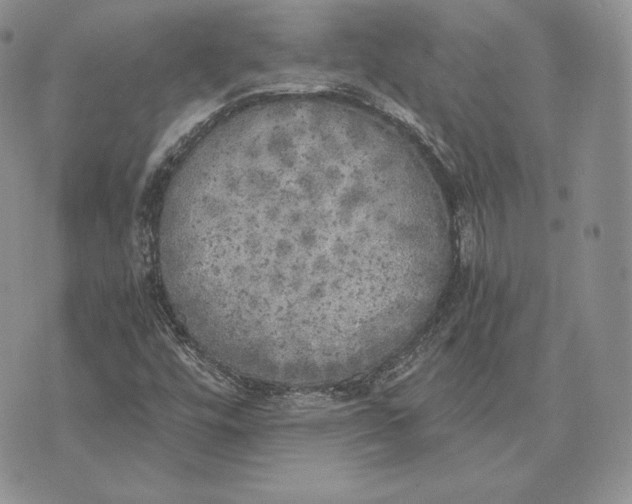 X0000072931448200608111523