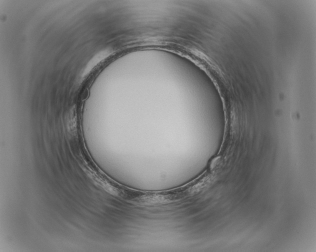 X0000072931450200608111523