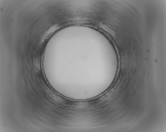 X0000072931451200608111523