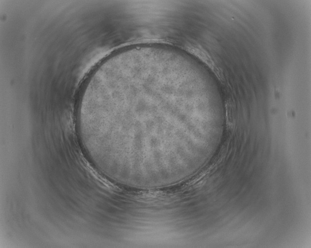 X0000072931452200608111523