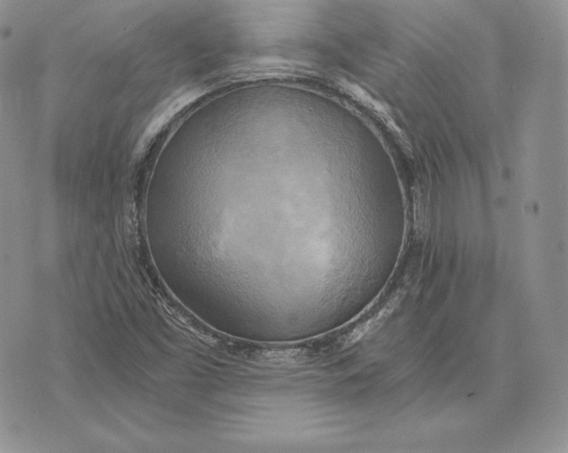 X0000072931453200608111523