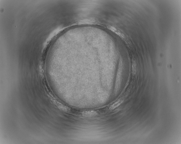 X0000072931454200608111523