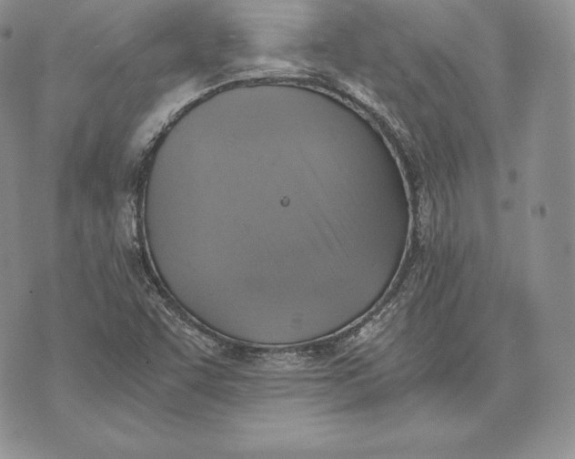 X0000072931455200608111523