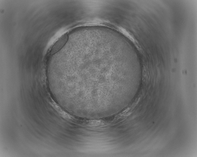 X0000072931456200608111523