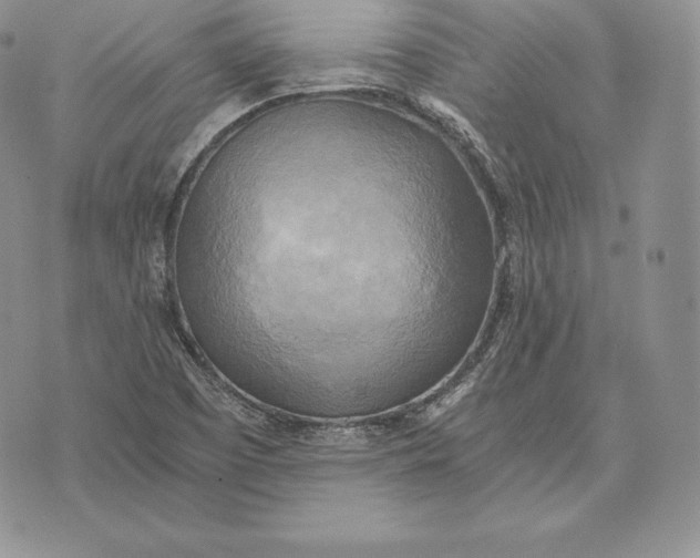 X0000072931457200608111523