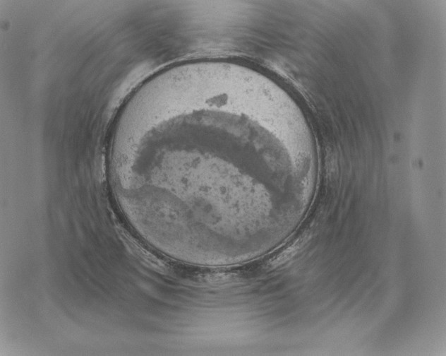 X0000072931459200608111523