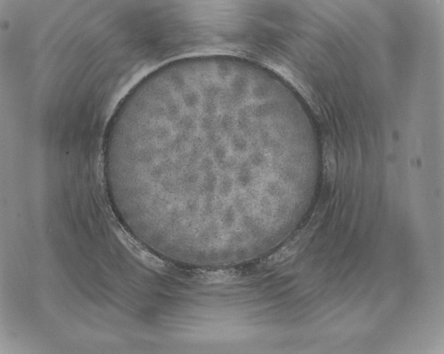 X0000072931460200608111523