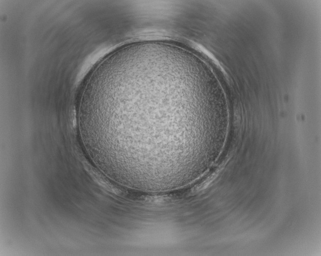 X0000072931461200608111523