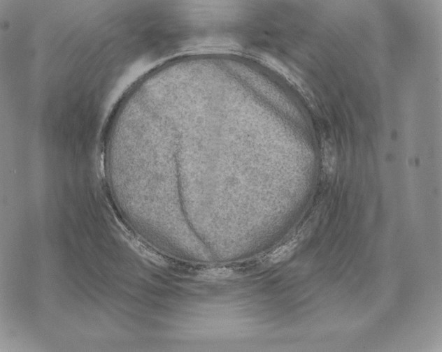 X0000072931462200608111523