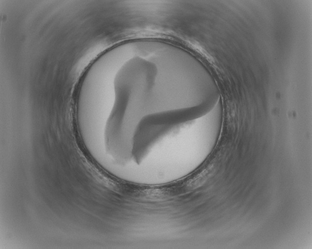 X0000072931463200608111523