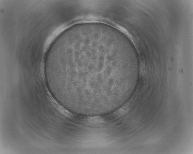 X0000072931464200608111523