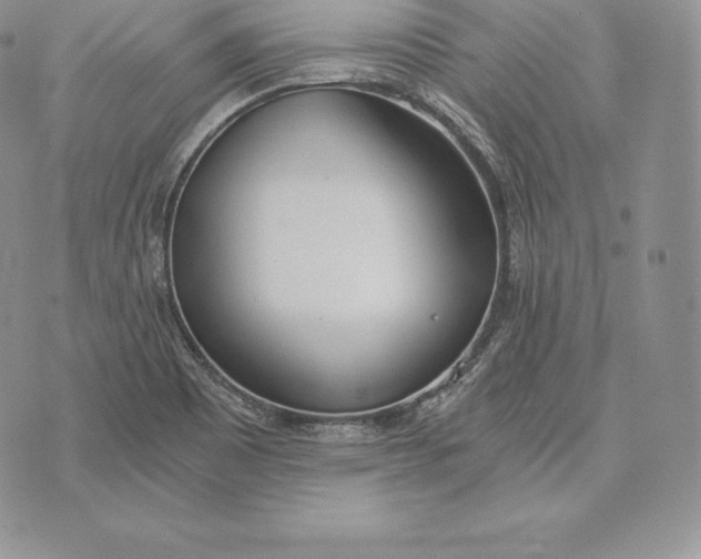 X0000072931465200608111523