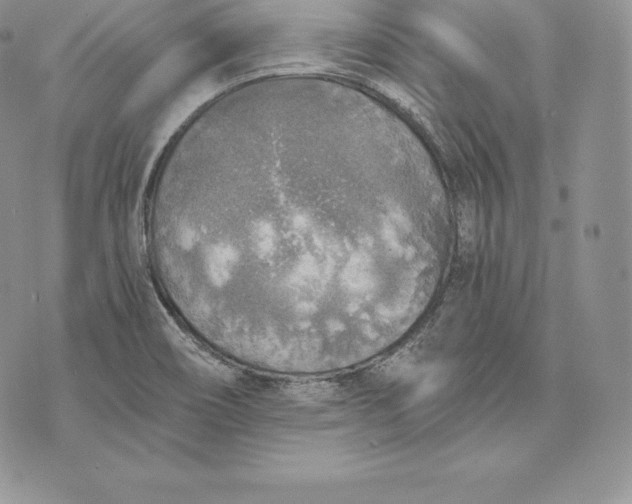 X0000072931466200608111523