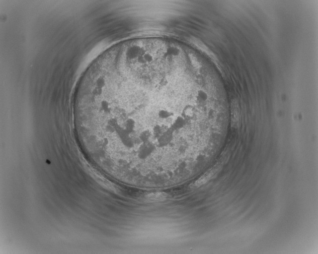 X0000072931467200608111523