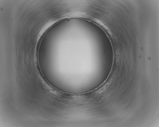 X0000072931469200608111523