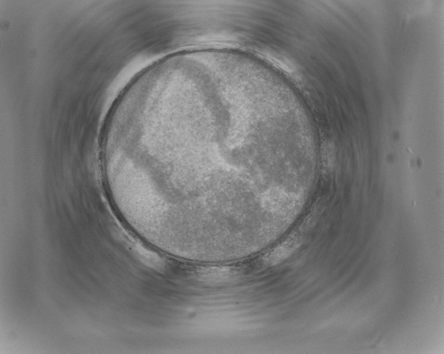 X0000072931470200608111523