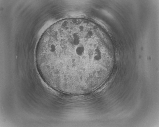 X0000072931471200608111523