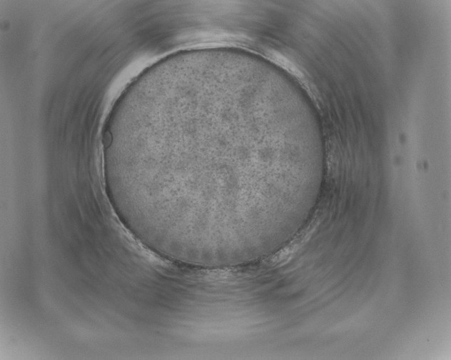 X0000072931472200608111523