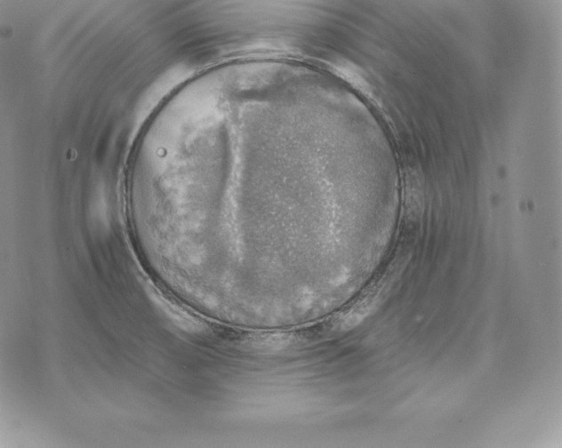 X0000072931474200608111523