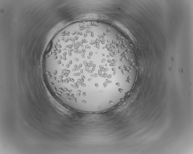 X0000072931475200608111523