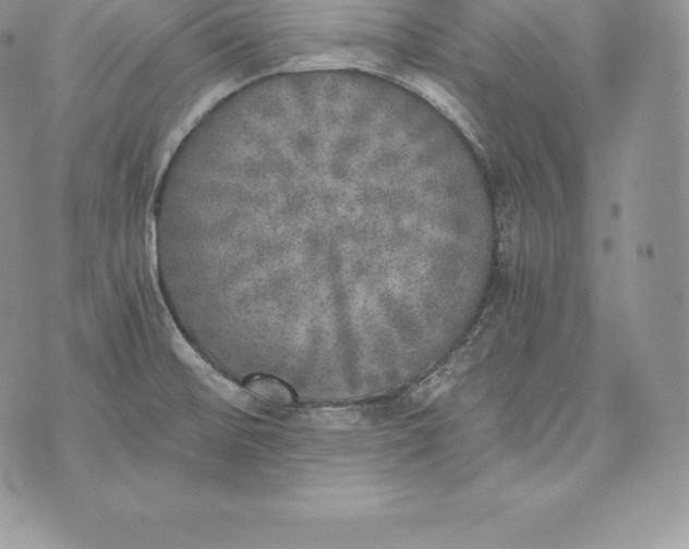 X0000072931476200608111523