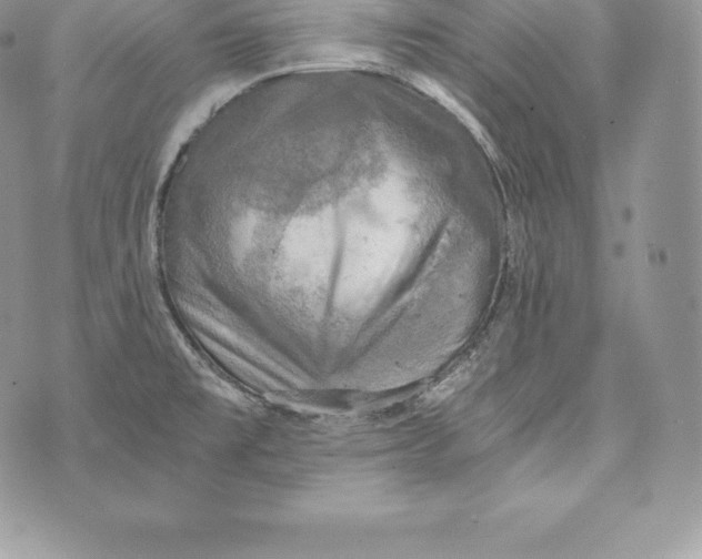 X0000072931477200608111523