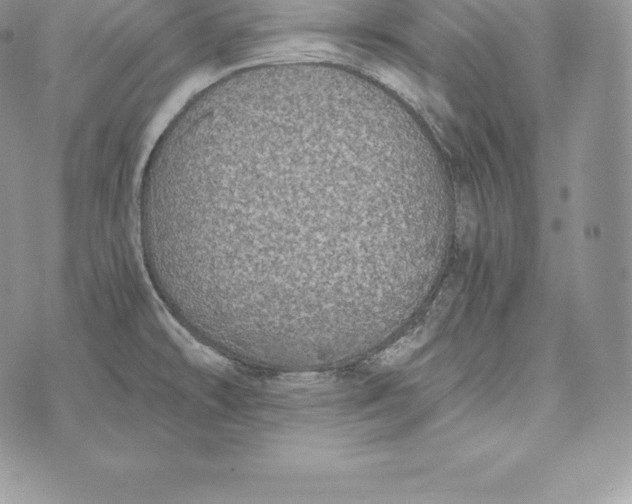 X0000072931478200608111523