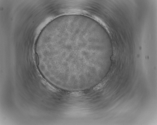 X0000072931480200608111523