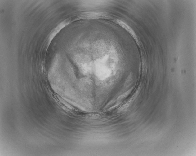 X0000072931481200608111523