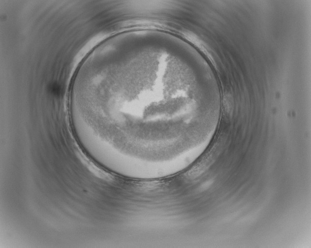 X0000072931482200608111523