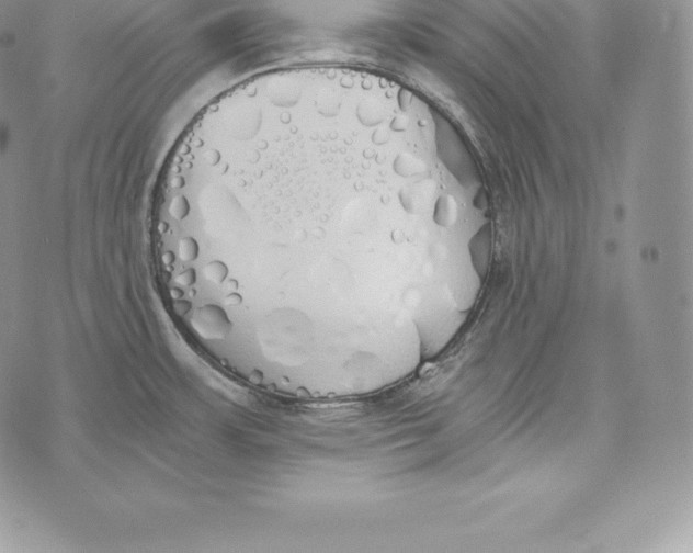 X0000072931483200608111523